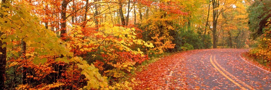 home-fall