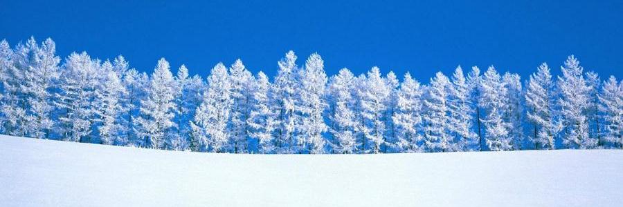 home-winter